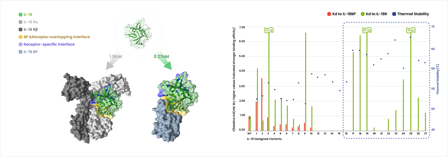 De Novo Antibody Design